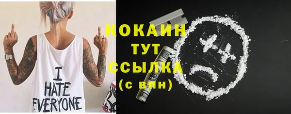 хмурый Карпинск