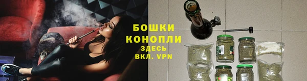 хмурый Карпинск
