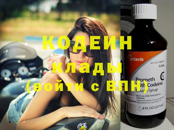 хмурый Карпинск