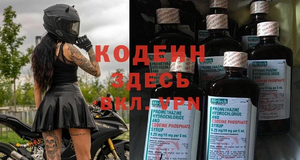 хмурый Карпинск