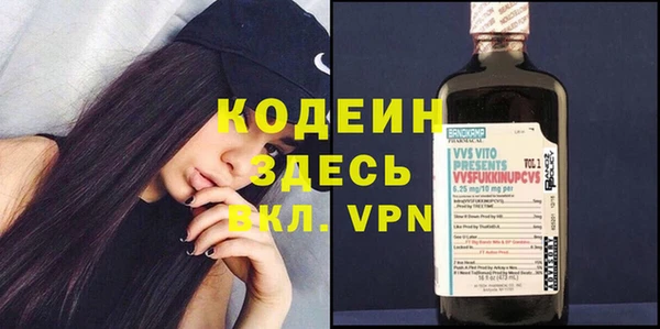 хмурый Карпинск