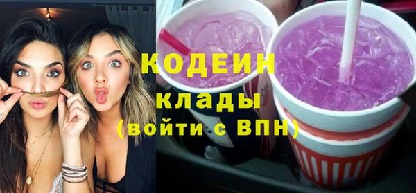 индика Киренск